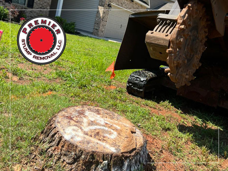 Premier Stump Removal