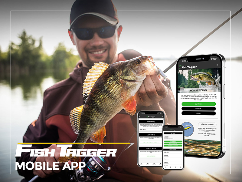 Fishtagger App