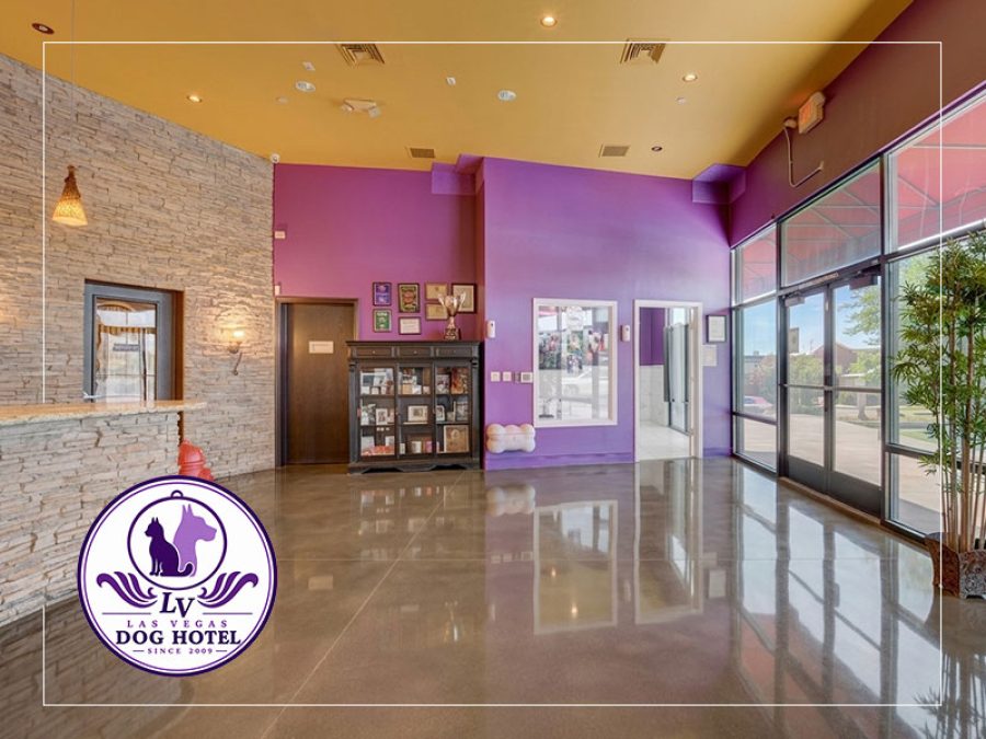 Las Vegas Dog Hotel